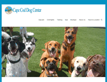 Tablet Screenshot of capecoddogcenter.com